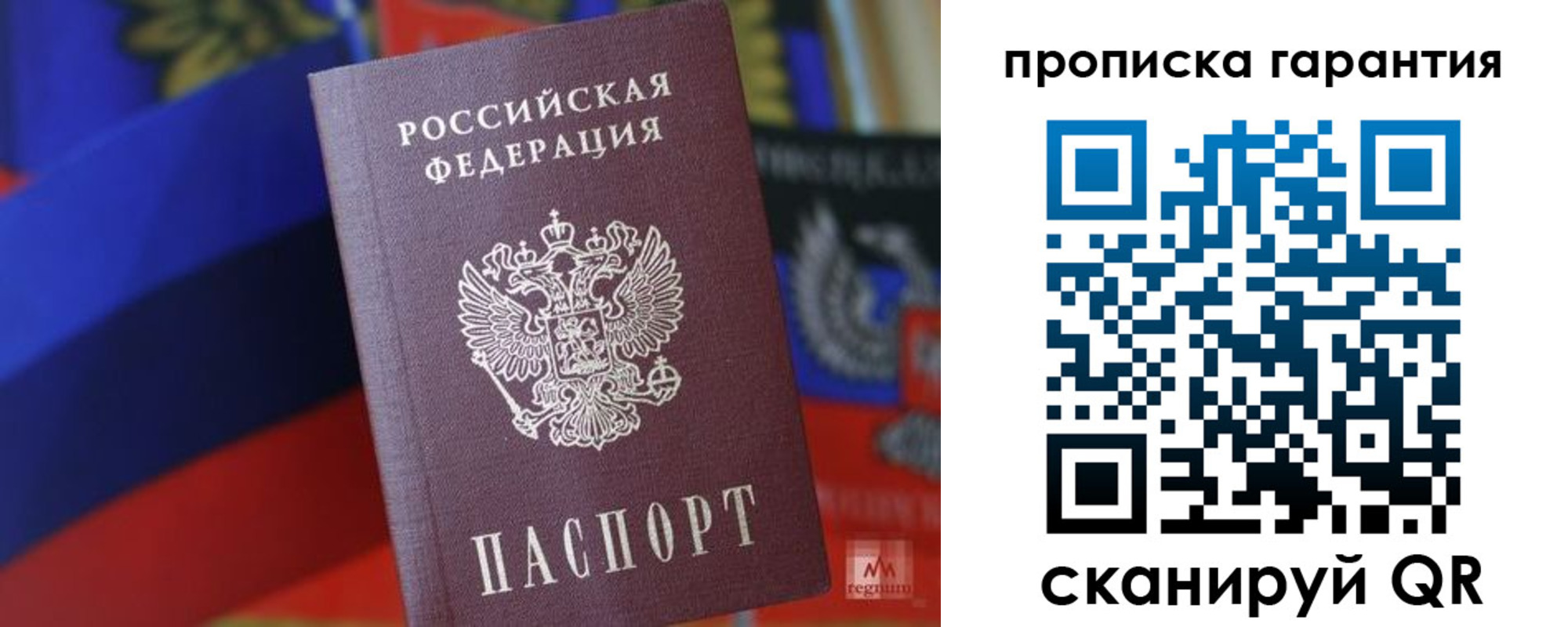 прописка гарантия в Брянске